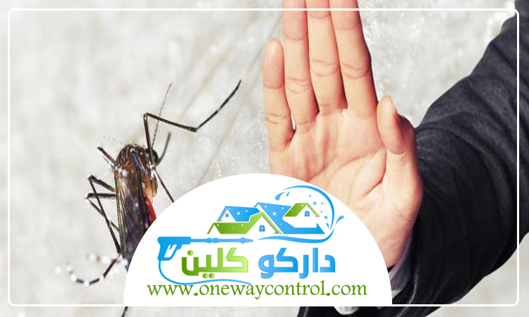 شركة مكافحة الناموس بمكة 0541554993