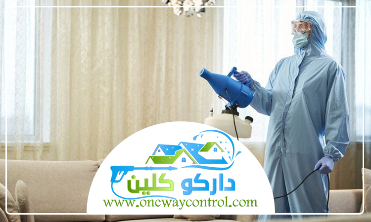 شركة مكافحة الربية بالباحة 5 شركة مكافحة الربية بالباحة