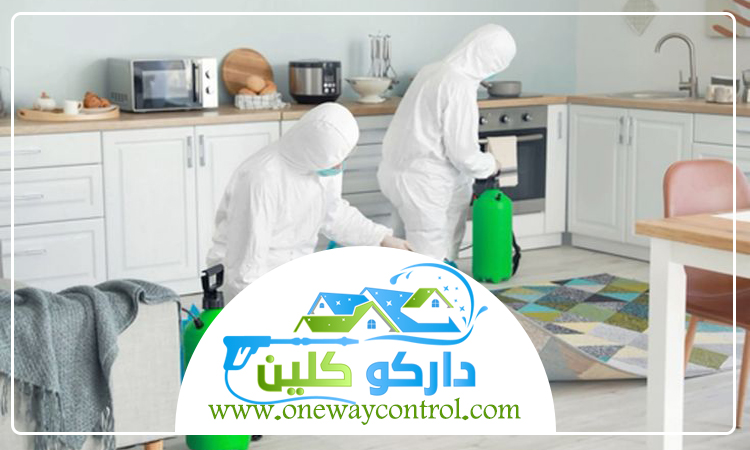 شركة مكافحة الارضه بالباحة 5 شركة مكافحة الارضه بالباحة