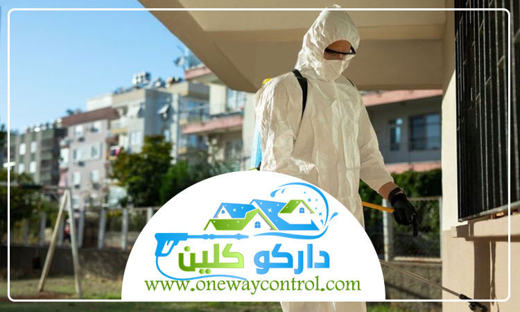 شركة مكافحة الارضة بخليص 61 شركة مكافحة الارضة بخليص