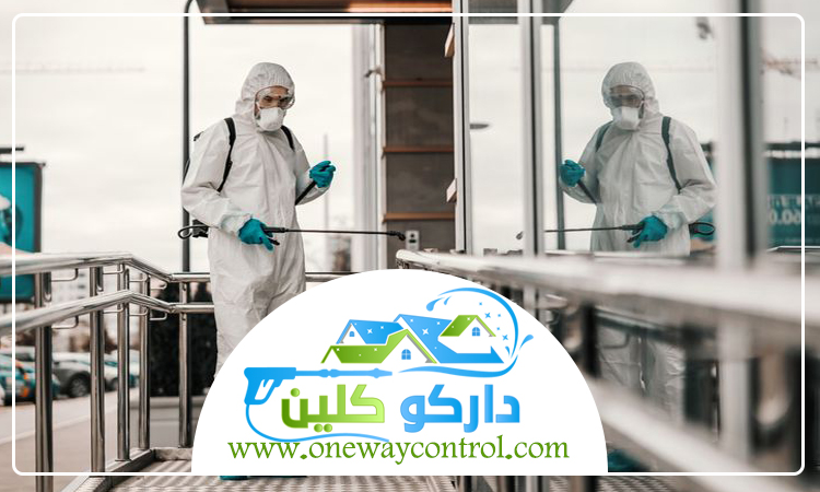 شركة مكافحة الارضة بخليص 5 شركة مكافحة الارضة بخليص