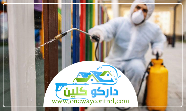 شركة مكافحة العتة بمكة 5 شركة مكافحة العتة بمكة