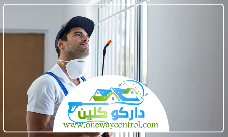 شركة مكافحة العتة بمكة 3 شركة مكافحة العتة بمكة