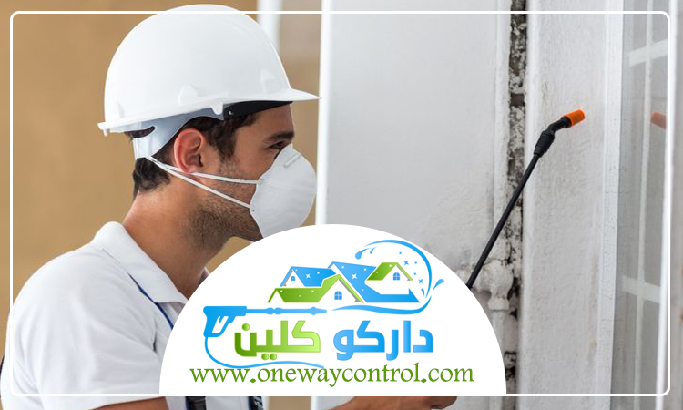 شركة مكافحة الربية بجدة 9 شركة مكافحة الربية بجدة