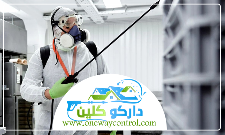 شركة مكافحة الربية بجدة 4 شركة مكافحة الربية بجدة