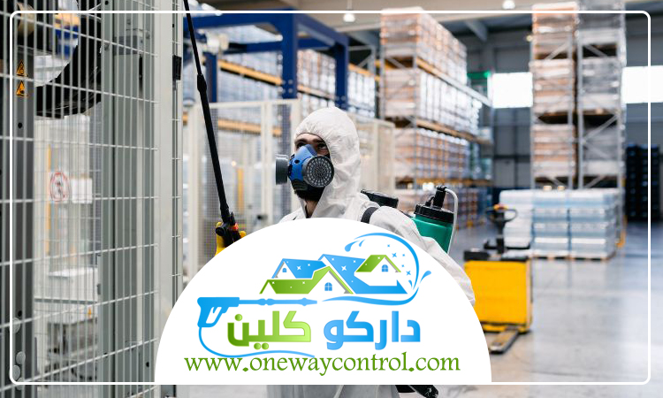 شركة مكافحة الربية بجدة