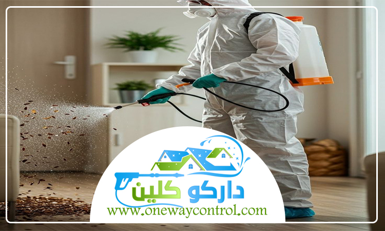 شركة مكافحة الارضة بخليص 3 شركة مكافحة الارضة بخليص