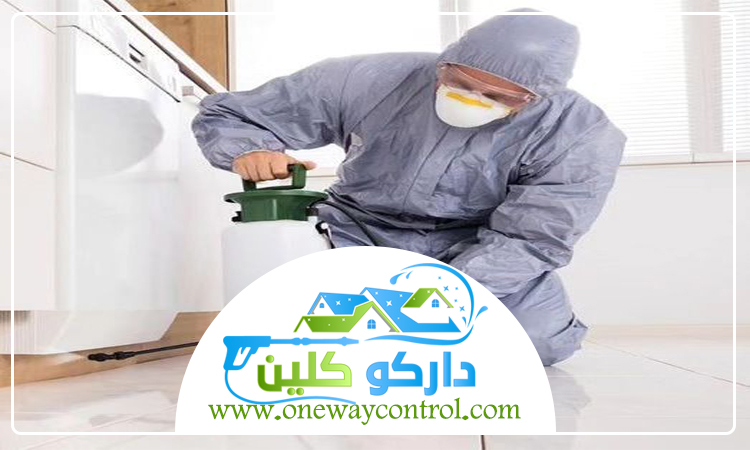 شركة مكافحة الارضة بمكة 5 شركة مكافحة الارضة بمكة