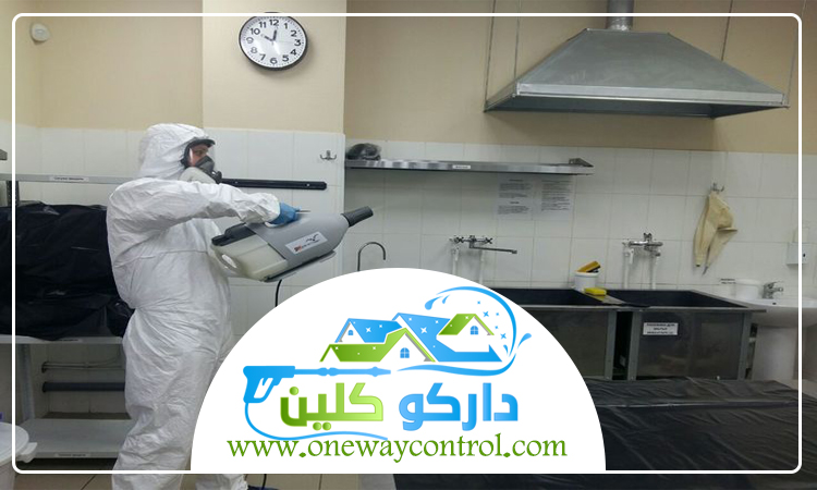 شركة مكافحة الارضة بمكة 2 شركة مكافحة الارضة