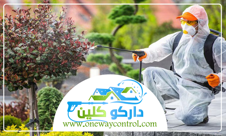 شركة مكافحة الارضه بالباحة 4 شركة مكافحة الارضه بالباحة