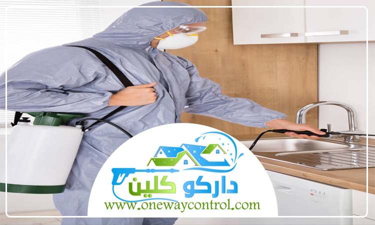 شركة مكافحة الارضة بخليص 5 شركة مكافحة الارضة بخليص