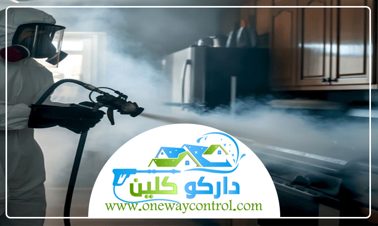 شركة رش دفان بمكة