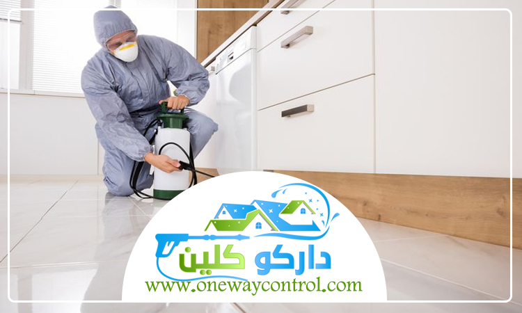 شركة مكافحة الربية بالباحة 4 شركة مكافحة الربية بالباحة