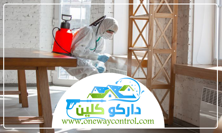 شركة مكافحة الارضة بالطائف 5 شركة مكافحة الارضة بالطائف