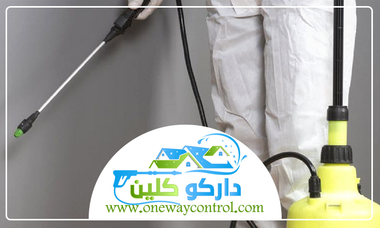 شركة مكافحة النمل الابيض بالقنفذه 41 شركة مكافحة النمل الابيض بالقنفذه