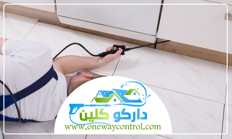 شركة مكافحة النمل الابيض بالقنفذه 4 شركة مكافحة النمل الابيض بالقنفذه