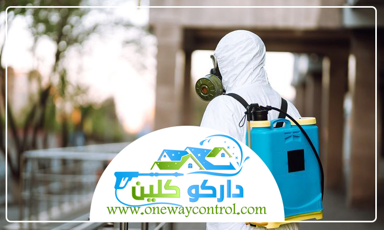 شركة مكافحة النمل الابيض بالقنفذه 3 شركة مكافحة النمل الابيض بالقنفذه