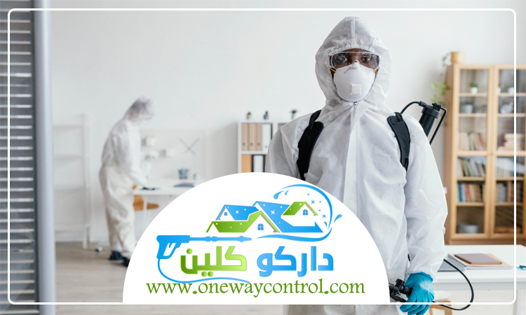  شركة مكافحة النحل بالمدينة