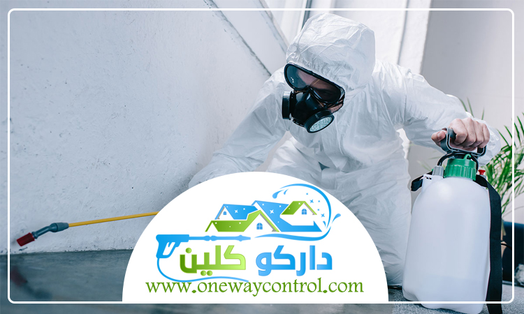  شركة رش دفان بالمدينة