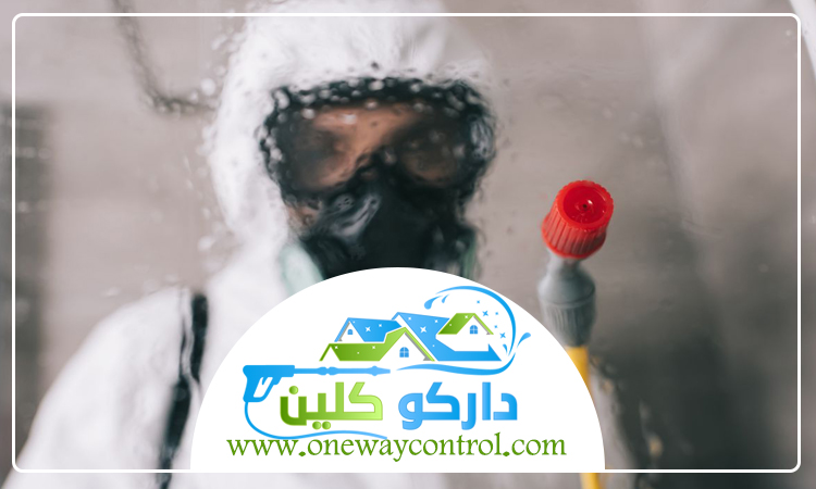 شركة مكافحة الصراصير بجدة 3 شركة مكافحة الصراصير بجدة