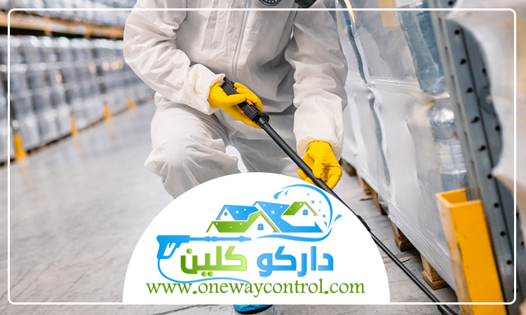  شركة مكافحة الوزغ بالمدينة