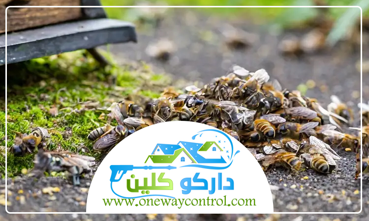 مكافحة النحل