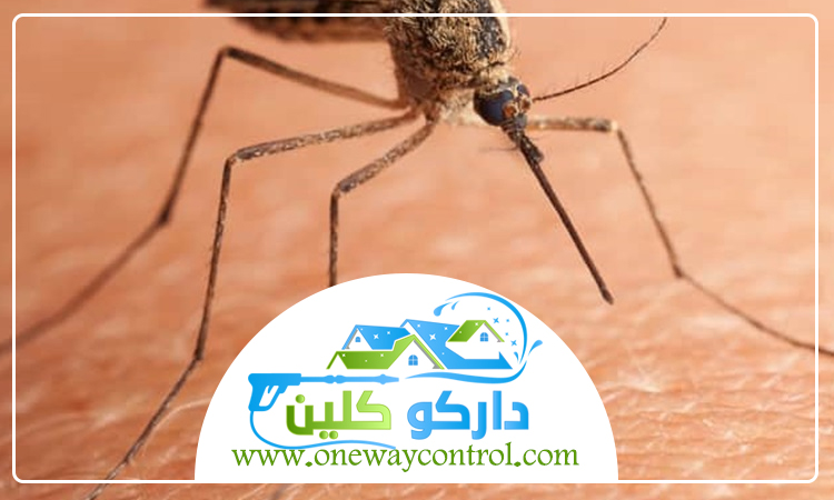 مكافحة البعوض