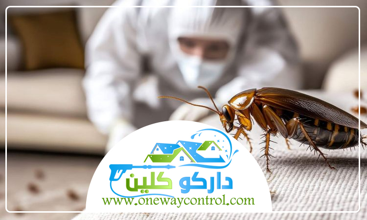 مكافحة الصراصير