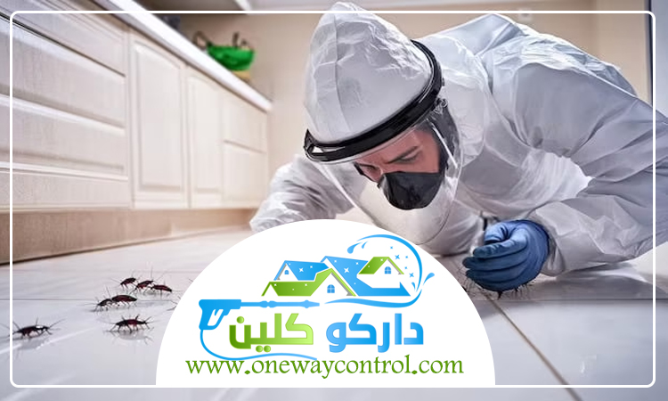 شركة مكافحة الصراصير بالمدينة