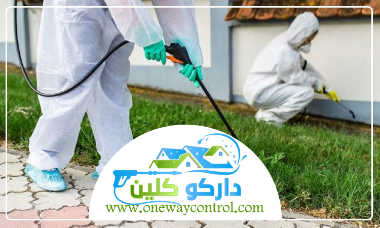 شركة رش دفان بالمدينة