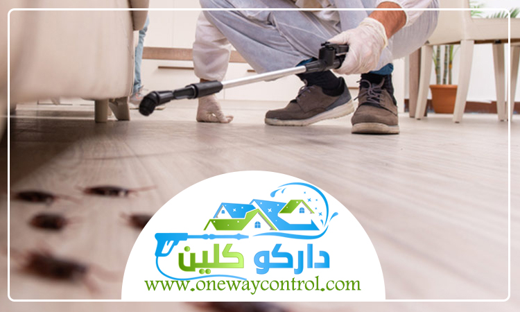 شركة مكافحة الصراصير بالمدينة