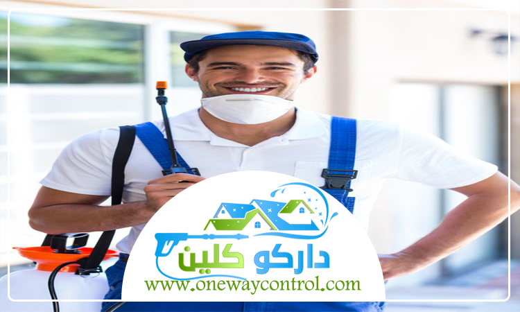 كيفية القضاء على الصراصير بدون مبيدات 5 كيفية القضاء على الصراصير بدون مبيدات