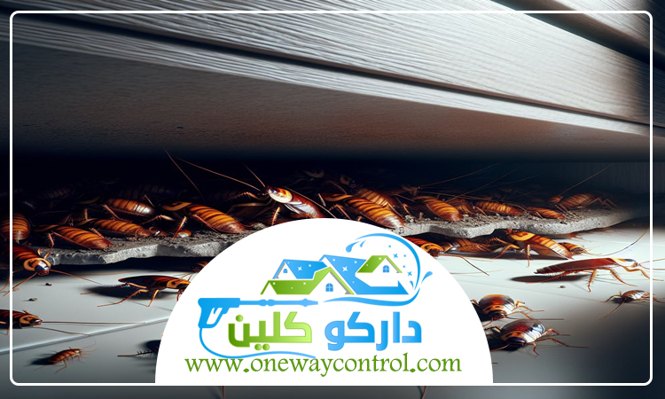 كيفية القضاء على الصراصير بدون مبيدات 4 كيفية القضاء على الصراصير بدون مبيدات