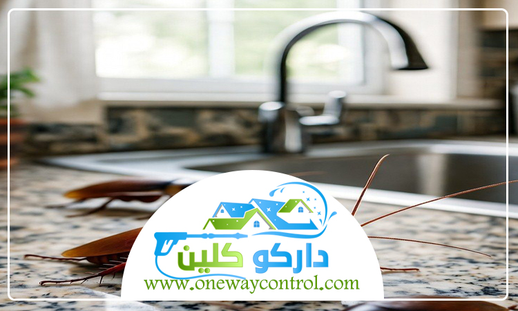 كيفية القضاء على الصراصير بدون مبيدات 3 كيفية القضاء على الصراصير بدون مبيدات