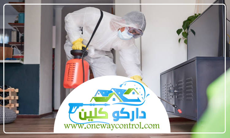 شركة مكافحة الوزغ بالمدينة 