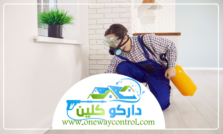 كيفية القضاء على الصراصير الكبيرة