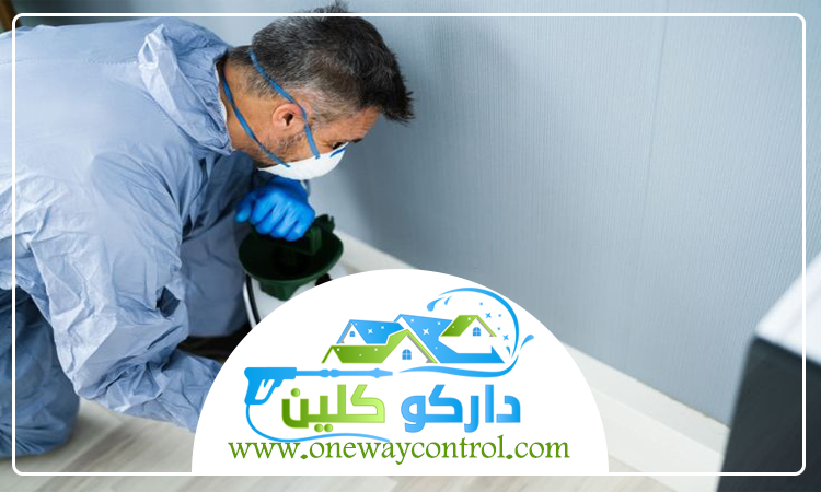 كيفية القضاء على الصراصير الصغيرة 5 كيفية القضاء على الصراصير الصغيرة