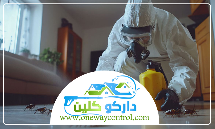 كيفية القضاء على الصراصير الصغيرة