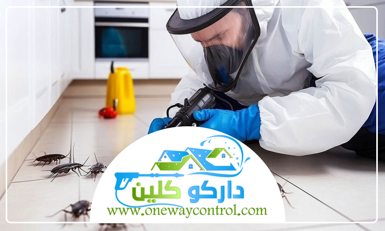 كيفية القضاء على الصراصير 5 كيفية القضاء على الصراصير