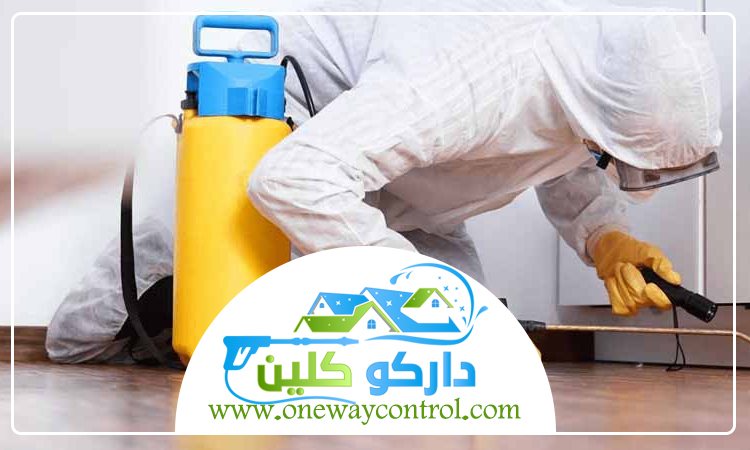  شركة مكافحة النمل الاسود بالمدينة