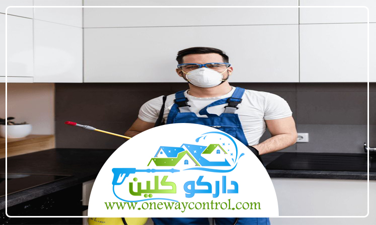 كيفية القضاء على الصراصير