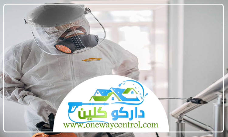 طريقة التخلص من الصراصير الصغيرة في المطبخ