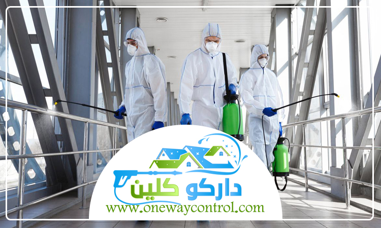 كيفية ابادة الصراصير من المنزل