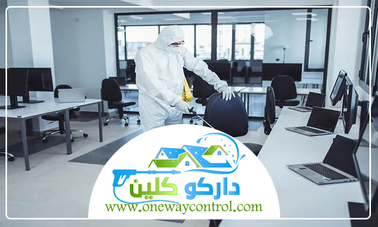 شركة مكافحة الصراصير بمكة 4 شركة مكافحة الصراصير بمكة