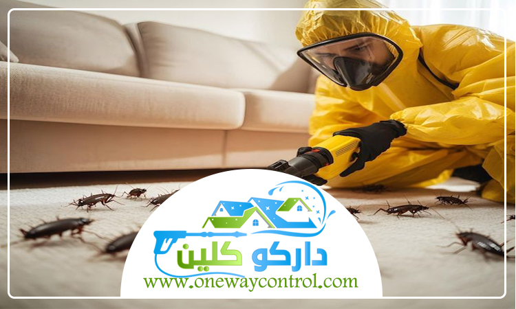 شركة مكافحة صراصير بالطائف 4 شركة مكافحة صراصير بالطائف