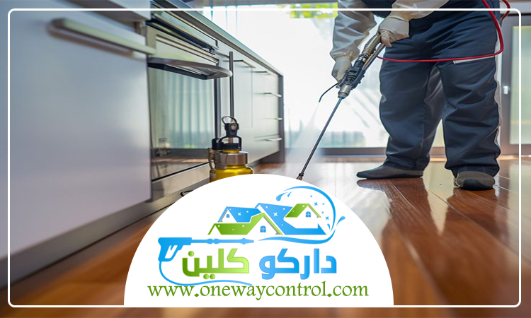 شركة مكافحة صراصير بعسفان 4 شركة مكافحة صراصير بعسفان