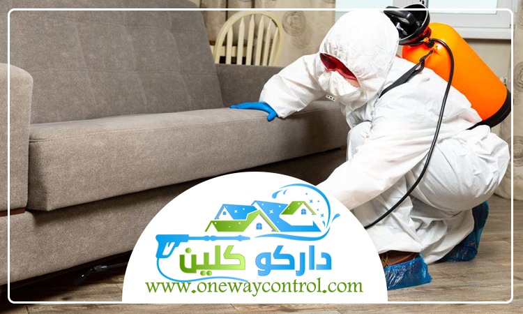 شركة مكافحة صراصير بعسفان 3 شركة مكافحة صراصير بعسفان