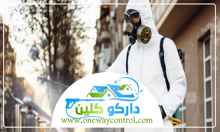 شركة رش دفان بالمدينة المنورة 5 شركة رش دفان بالمدينة المنورة