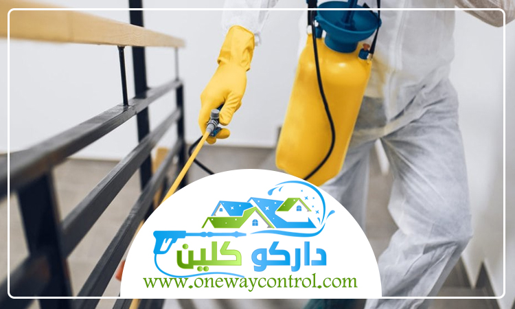 شركة رش دفان بالمدينة 