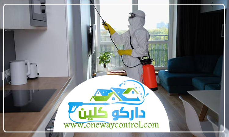 شركة مكافحة صراصير بخليص 4 شركة مكافحة صراصير بخليص